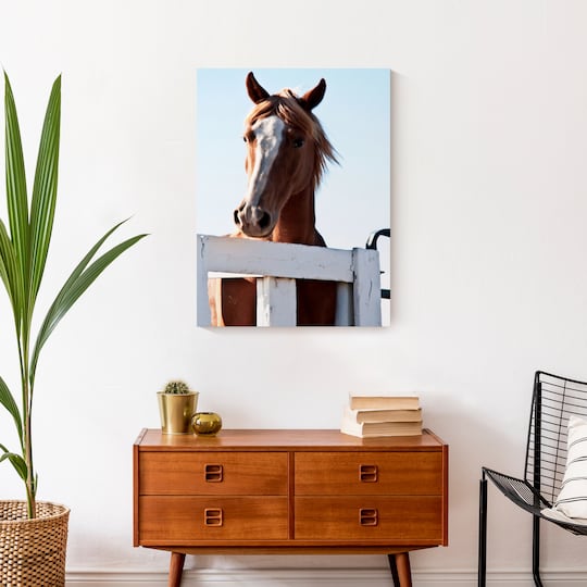 Curious Horse 18" x 24" Canvas Wall Art